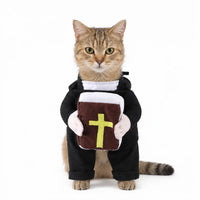 Holy Priest